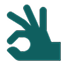 Safety Icon